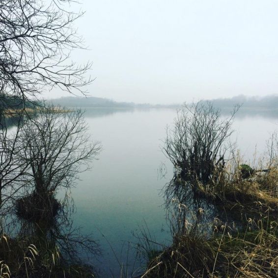 bishop loch, Easterhouse