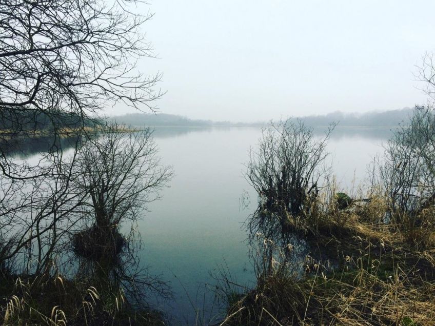 bishop loch, Easterhouse