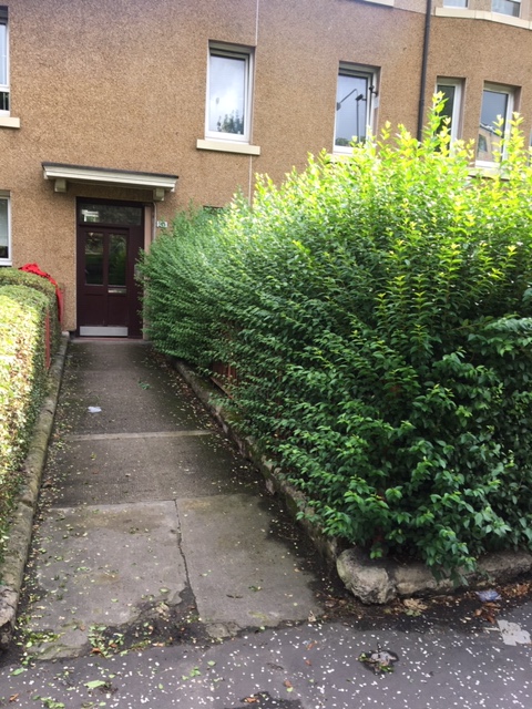 Hedge into close Balmore Road before