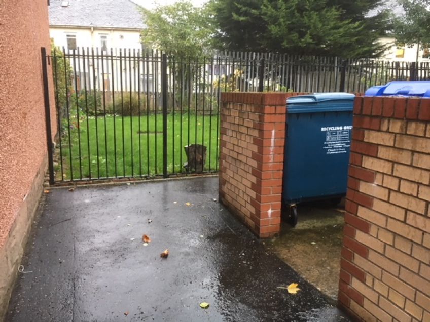 Dyke Road bins 