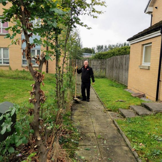 Halley Place bushes after