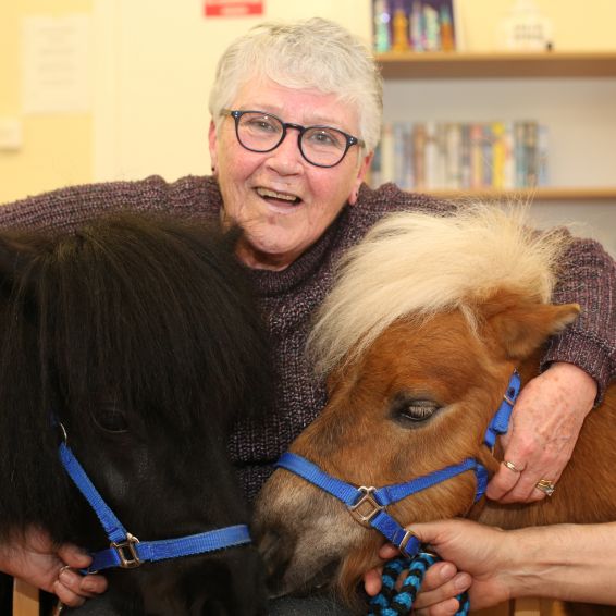 Therapy ponies bring cheer to older customers