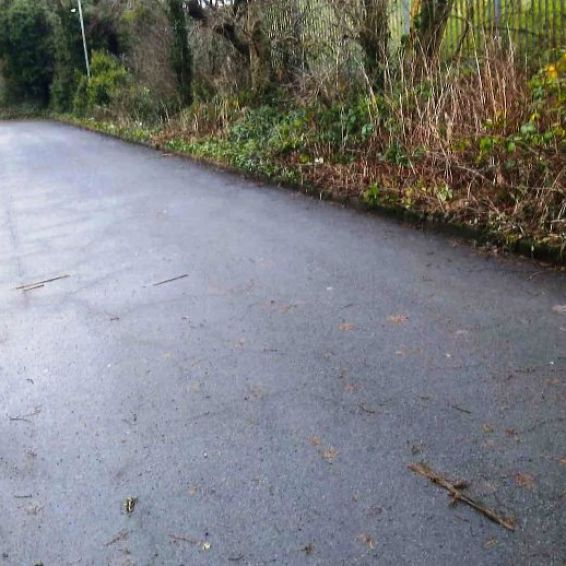 environmental teams cleared away leaves at Riddrievale Court